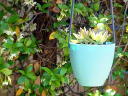 Hanging planters do it yourself – a DIY project for your garden