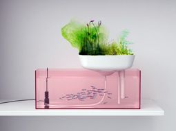High-tech plant equipment