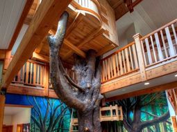 Indoor tree house – 10 cool ideas for kids