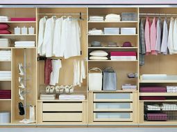Intelligently organize the closet: 50 images, stock plans and ideas with closets