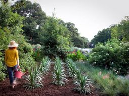 Landscaping and gardening in spring