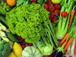 Landscaping Ideas for Beginners – Planting edible plants