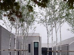 Landscaping Ideas – Wonderful courtyard with water features