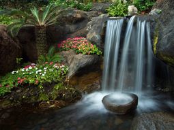 Landscaping with rocks and water – small Japanese garden