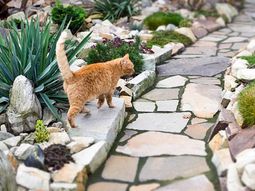 Landscaping with stones – 10 wonderful ideas