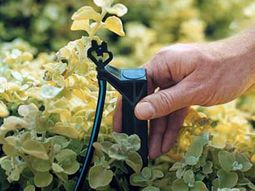 Make garden and landscaping with a little water