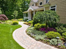 Make the garden to learn about the family next door closer
