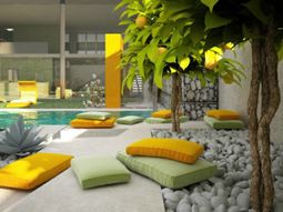 Mediterranean Garden – this is an achievable goal in Germany?