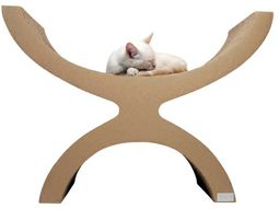 Modern accessories for your pets