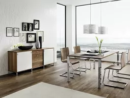 Modern furnishings in the dining room