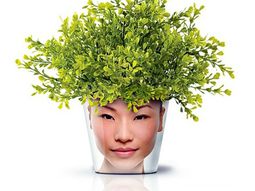 Modern Planters with Face – Funny cool decoration ideas