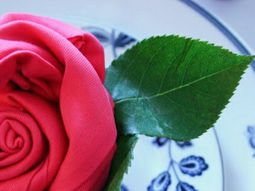 Napkin Folding – manual in pictures