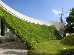 Organic House with curved vertical greening