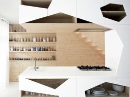 Organize kitchen cabinet and kitchen shelf