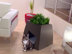 Original Animal House combined with Planter