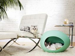 Pet Friendly Cat Furniture and Cat Trees