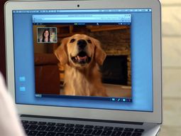 PetChatz webcam and Feeder