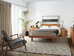 Plants in the bedroom – potted flowers, which are particularly suitable for
