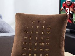Practical Decorative Home Accessories – Remote condition and Throw in a