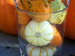 Pumpkin decorating ideas – cool autumn decoration for DIY