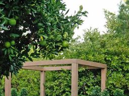 Refuges in the Garden Lounge – the pleasures of summer