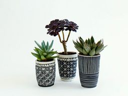 Room verdure images and inspiring decor ideas