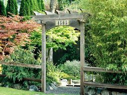 Smart Ideas on how to make the narrow space in the garden