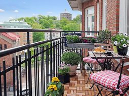 Terrace design with plants – beautiful examples and advice for you