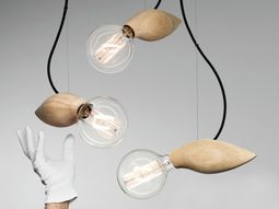 The designer lamp with organic shapes