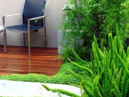 The Houseplant bob creates green accents at home