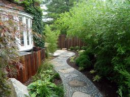 The lush privacy in the garden