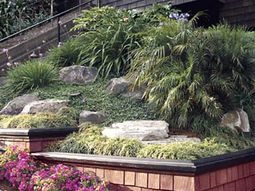 Tips for great landscape on small garden area