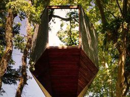 Two snake-like huts in the forest – a new term for tree house