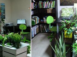 Unique garden ideas – creative decisions for your home