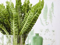 Useful tips for your home renovation in spring