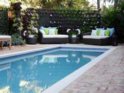 Vertical garden next to the swimming pool brings more green into your home