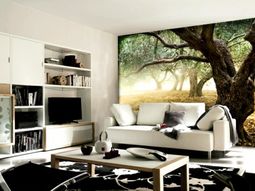 Wall with Murals – 34 exquisite inspirations