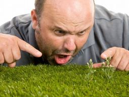 Weed killer – effective weed control with vinegar, boiling water