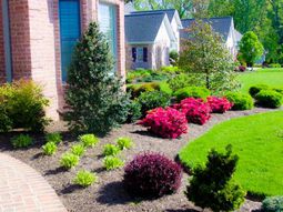 With gravel front garden design – photos and tips for you