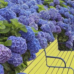 100 images on garden design – the art of modeling the natural