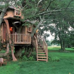 11 architectural ideas for fantastic tree houses
