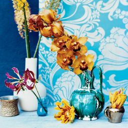 14 Luxury ideas for decorating with orchids