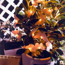 16 exclusive ideas for decorative lighting in the garden