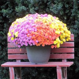 20 tips for garden accessories and garden decorations that will liven up your landscape