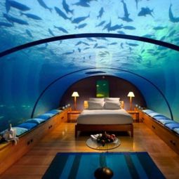 24 exceptional bedrooms designs