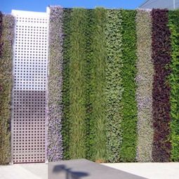 30 Incredible Vertical Gardens and green walls to admire