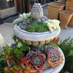 35 wonderful decoration ideas for the garden with succulents