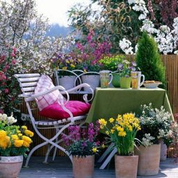 55 Balcony Greenery Ideas – Choose flowers for balcony and arrange