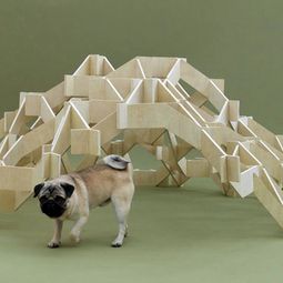 Architecture for Dogs – strange beds, kennels and toys