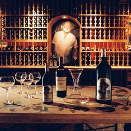 Artful wine cellar with a peak design by Patrick Wallen